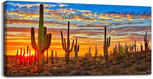 Lienzo decorativo de pared para sala de estar, cactus y plantas, pintura de paisaje, baño, decoración de pared, listo para colgar, decoración del