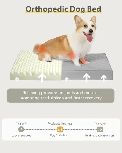 Miniatura 5 de NUPIDA Camas ortopédicas para perros pequeños, impermeables, con funda extraíble lavable y parte inferior antideslizante, cama acolchada para perros