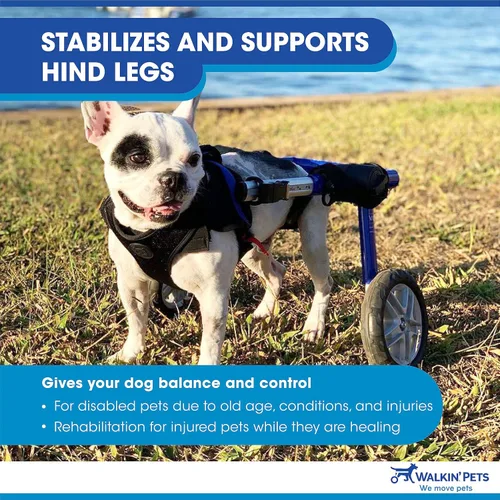 Miniatura 6 de Walkin' Wheels Silla de ruedas para perros, para perros medianos de 26 a 49 libras, aprobada por veterinarios, silla de ruedas para perros