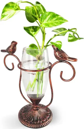 Miniatura 9 de Paquete de 2 Terrarios de Plantas de Escritorio, Jarrón de Vidrio con Arte de Pájaros para Propagación, Macetas de Propagación con Marco de Metal