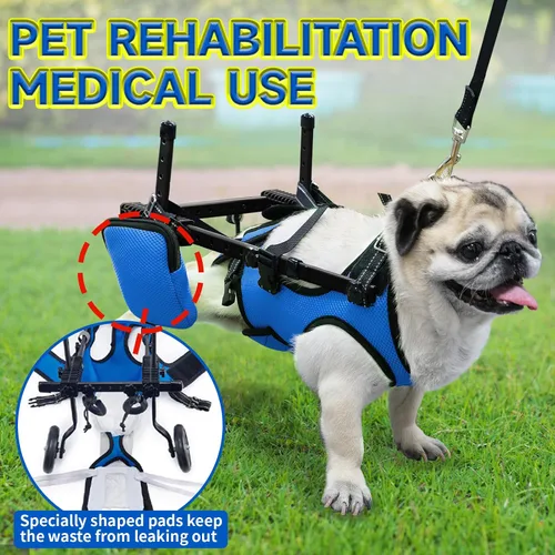 Miniatura 5 de Silla de ruedas para mascotas para patas traseras, adecuada para patas traseras, silla de ruedas para perros discapacitados, movilidad para caminar