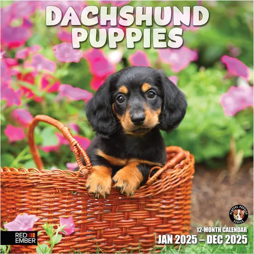 Miniatura 25 de RED EMBER Calendario de pared 2025 con diseño de cachorros de 12 meses, 12 x 24 pulgadas, abierto, papel grueso y resistente, para regalo