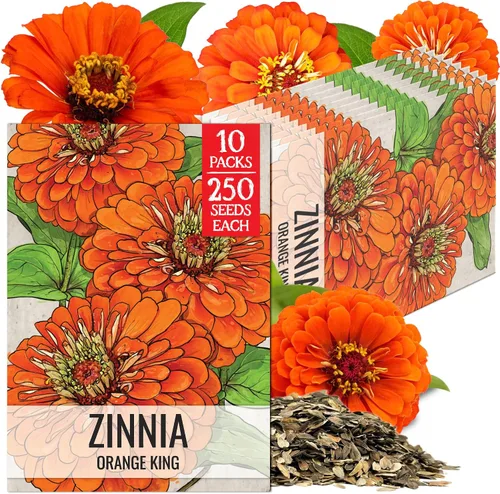 Miniatura 25 de Seed Needs California Giants - Semillas de zinnia – 250 semillas tradicionales para plantar Zinnia elegans – Cultiva flores anuales polinizadas