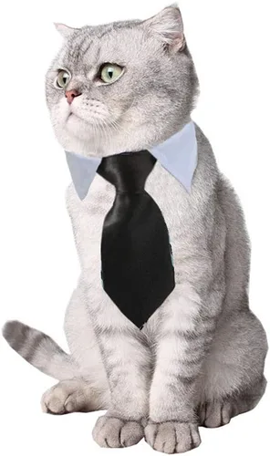 Miniatura 3 de 8 piezas de gafas de sol para mascotas, perro, gato, corbatín para mascotas, disfraz de mascota, collar formal ajustable para gatos, perros