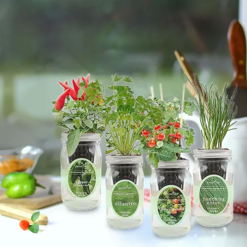 Miniatura 3 de Kit de cultivo de hierbas hidropónicas, tarro de masón de riego automático, kit de inicio de jardín de hierbas para interiores, cultiva 4 tipos