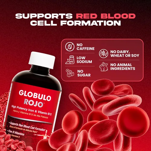 Miniatura 3 de DLC Laboratories Globulo Rojo, Suplemento de Hierro y Vitamina B12 para ayudar a la formación de glóbulos rojos, Fortalecido con Tiamina