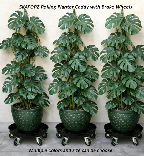 Miniatura 8 de Organizador de macetas con ruedas (capacidad de 430 libras), soporte de metal resistente con ruedas de freno, bandeja para plantas para interiores