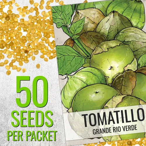 Miniatura 3 de Seed Needs Semillas de tomatillo para plantar tomatillos Grande Rio Verde, reliquia sin OMG y sin tratar, cultiva un huerto al aire libre cultivado