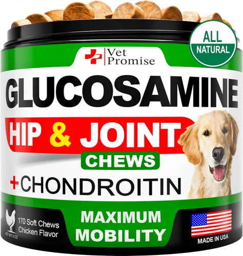 Vet Promise Glucosamina para perros - Suplemento de cadera y articulaciones para perros - Glucosamina condroitina - Píldoras para aliviar el dolor