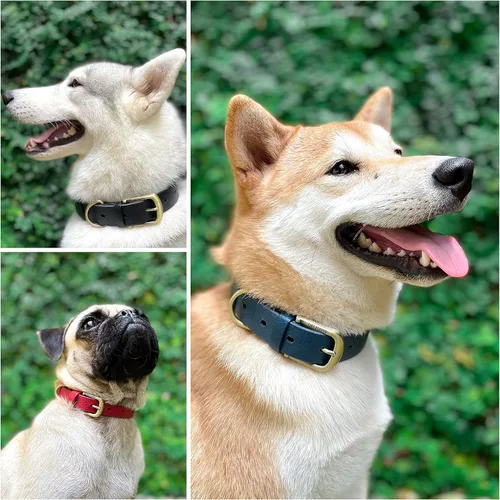 Miniatura 3 de Collar clásico para perro Tuff Pupper ¨para toda la vida¨, resistente y duradero, más fuerte que la piel, impermeable y sin olor Azul medianoche