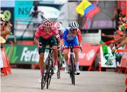 Miniatura 5 de GO RIGO GO! Jersey KM100 Comfort Jazmin