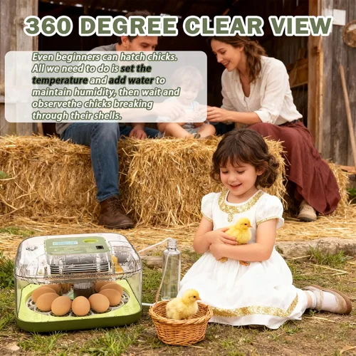 Miniatura 8 de XOTTI Incubadora para incubar huevos, 12 incubadoras de huevos con control de temperatura y humedad, girador automático, vela, visualización de 360°