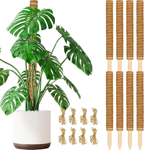 Miniatura 10 de JJGoo Poste de musgo para plantas Monstera, paquete de 2 postes de soporte para plantas de 23.6 pulgadas, poste de tótem de fibra de coco extensible