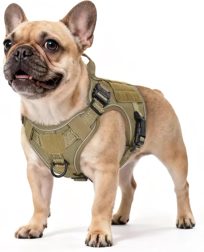 Miniatura 37 de rabbitgoo - Arnés táctico para perros pequeños, arnés resistente para mascotas con asa, chaleco de servicio sin tirones para razas pequeñas, chaleco