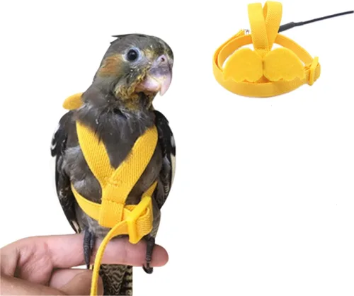 Miniatura 5 de Arnés para pájaros, correa de loro, kit ajustable para volar al aire libre para loro, budgie, tortolito, cacatúa, guacamayo (morado, S)