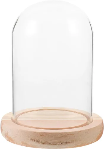 Globe Glass Cloche Display Dome Decorativo Transparente Display Bell Jar con Base de Madera Plantas Medallas Fotos Coleccionables Antiguos