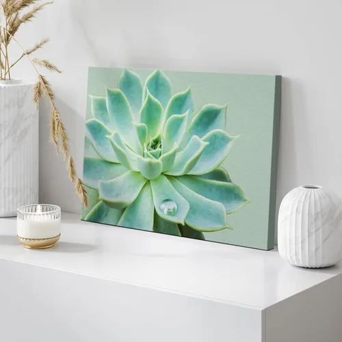 Miniatura 4 de wall26 Lienzo impreso para pared, diseño de rosa del desierto, suculentas, naturaleza, desierto, fotografía, realismo, floral, botánico, suroeste