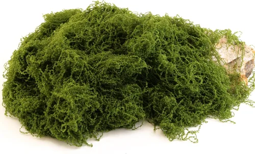 El musgo verde oscuro se utiliza para manualidades, musgo artificial, rellenos de jarrones de vidrio, bodas, Navidad, fiestas verdes de primavera,