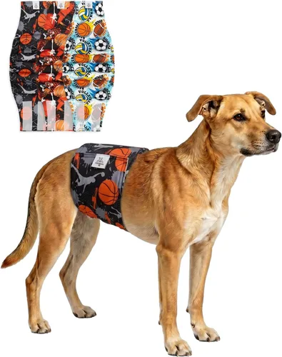 Miniatura 43 de CuteBone - Pañales lavables para perro macho, banda abdominal, paquete de 3 unidades, color negro, modelo DM54XS