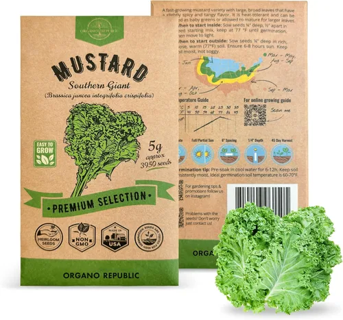 Miniatura 23 de Organo Republic Paquete de Semillas de Lechuga Hoja de Roble 1 G - Más de 800 Semillas de Lechuga Reliquia Sin OMG para Plantar Verduras en Paquete