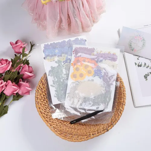 Miniatura 6 de 100 piezas de flores y hojas secas prensadas reales, herbario de plantas naturales para moldes de resina DIY, fabricación de joyas y manualidades