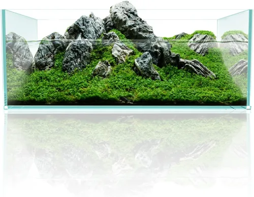 Miniatura 3 de Fzone 6.4 Gal Acuario poco profundo sin borde de bajo contenido de hierro para peces Nova Clear Ultra-Blanco con bordes biselados de 45° de vidrio