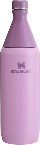 Miniatura 19 de Stanley All Day - Botella delgada de 20 onzas, tapa giratoria con sello a prueba de fugas, diseño delgado para viajes y gimnasio, acero inoxidable