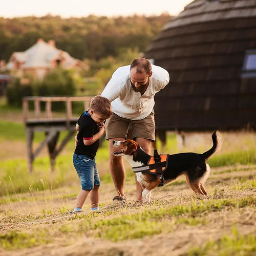 Miniatura 8 de Dogline Arnés para perro, chaleco reflectante ajustable sin tirones con asa para caminar, entrenar, transpirable, arnés sin estrangulamiento