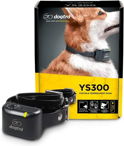 Dogtra YS300 recargable impermeable compacto sin ladridos collar