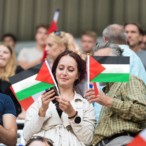 Miniatura 6 de 200 mini banderas palestinas palestinas de mano pequeñas banderas de Palestina en miniatura en soporte de palestina, bandera ondeadora de mano – 5.5