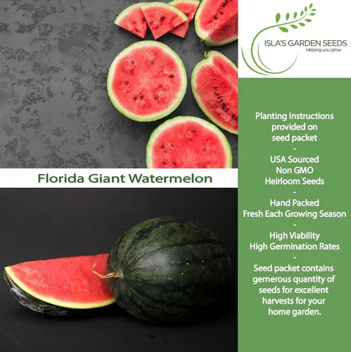 Miniatura 2 de Cultiva enormes sandías gigantes de Florida, más de 25 semillas de reliquia sin OMG de Isla's Garden Seeds, melones masivos de 40 a 50 libras