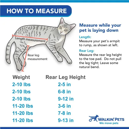 Walkin' Wheels Ligero, para gatos pequeños de 2 a 20 libras, aprobado por veterinarios, silla de ruedas para gatos para patas traseras, para gatos