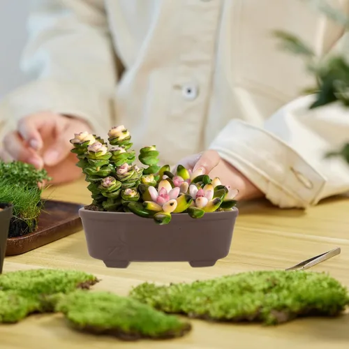 Miniatura 5 de VILLCASE Maceta de jardín, cactus y terracota, maceta ovalada de arcilla para suculentas con orificio de drenaje, cuenco de bonsái poco profundo