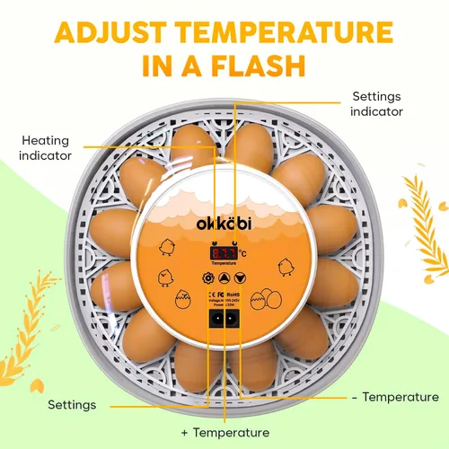 Miniatura 2 de Okkobi M12 - Incubadora de huevos con girador automático y control de humedad, 12/24 huevos, vista de 360°, fácil de usar y limpiar, Incubadora