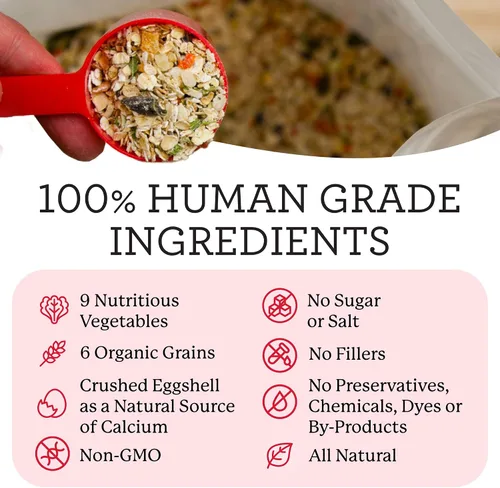 Miniatura 3 de Dr. Harvey's Canine Health Miracle Dog Food, mezcla de base deshidratada de grado humano para perros con granos enteros orgánicos y verduras