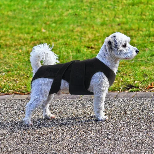 Miniatura 8 de Soporte de espalda para perro para IVDD y recuperación espinal, chaleco de apoyo transpirable ajustable para perro, protector lumbar para perros