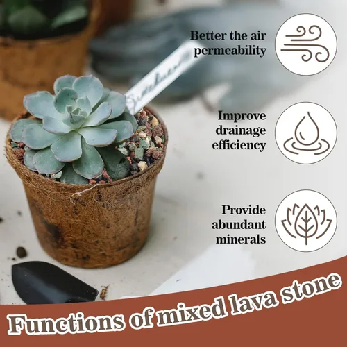 Miniatura 4 de Sukh Suelo de gránulos para suculentas hortícolas de 1 libra, mezcla de bonsái, rocas de lava, cactus y suelo, enmienda de mezcla para macetas