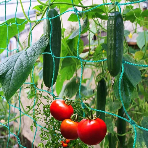 Miniatura 2 de Paquete de 2 redes de enrejado de pepino y tomate, red de jardín resistente para soporte de plantas trepadoras, guisantes, uvas, frijoles, frutas