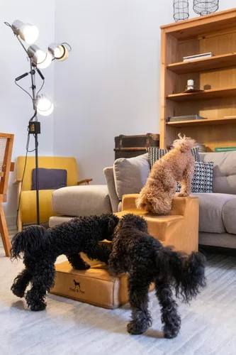 Miniatura 2 de Noah & Paw Escaleras para Perros, Rampa para Perros para Cama (17" Extra Ancha) Escaleras para Mascotas para Cama Alta, Diseñadas para Razas