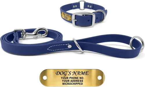 Miniatura 18 de Regal Dog Products Collar de Perro Naranja Mediano con Placa de Nombre Grabada Personalizada - Ajuste Personalizado, Resistente, Fácil de Limpiar