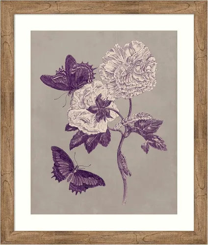 Miniatura 11 de Amanti Art Lienzo decorativo para pared, 24 x 20 pulgadas, estudio de la naturaleza en ciruela y gris pardo IV por Maria Merian, arte de pared