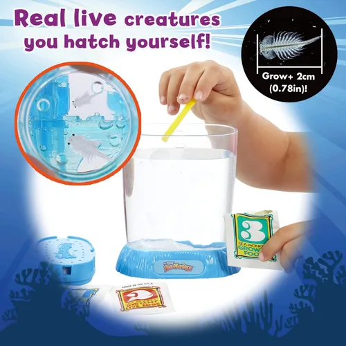 Miniatura 5 de Los monos marinos originales - Zoo oceánico - Kit de ciencia para criar tus propias mascotas - Incluye huevos, alimentos y purificador de agua