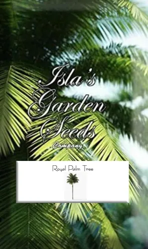 Miniatura 2 de Royal Palm Tree Seeds, Roystonea Regia, también conocida como Cuban/Florida Royal Palm, 20 semillas de árbol de alta calidad, palmera exótica