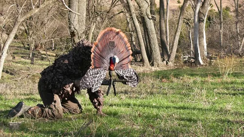 Miniatura 8 de MOJO Outdoors Turkey Hunting Decoys and Accessories