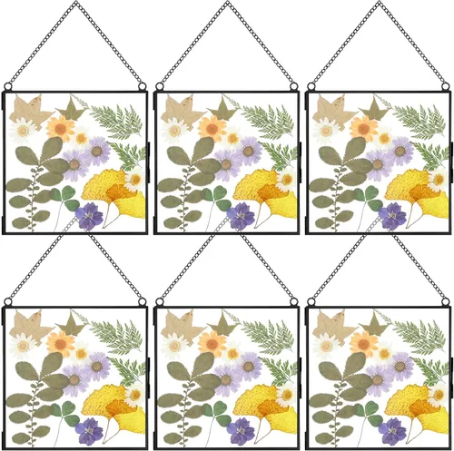 Miniatura 8 de Treela Marcos de vidrio con flores prensadas de 6 x 6 pulgadas, marco de fotos de doble vidrio para colgar, marcos flotantes cuadrados transparentes