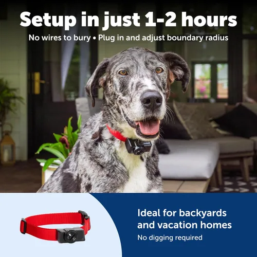 Miniatura 6 de PetSafe Sistema inalámbrico de contención de mascotas