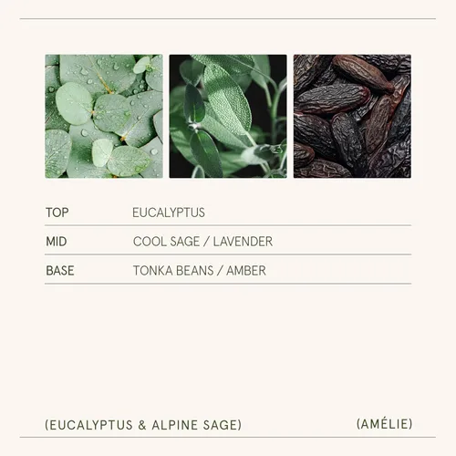 Miniatura 6 de LA JOLIE MUSE Vela perfumada de eucalipto y romero - vela de aromaterapia para relajación, cera de soja natural, velas en frasco de vidrio