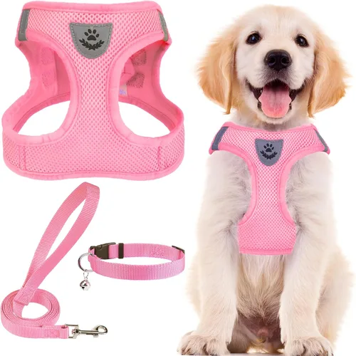 Miniatura 33 de PUPTECK - Arnés, collar y correa ajustables, sin tirones, para perros pequeños y medianos, cachorros y gatos, pechera reflectante acolchada de malla