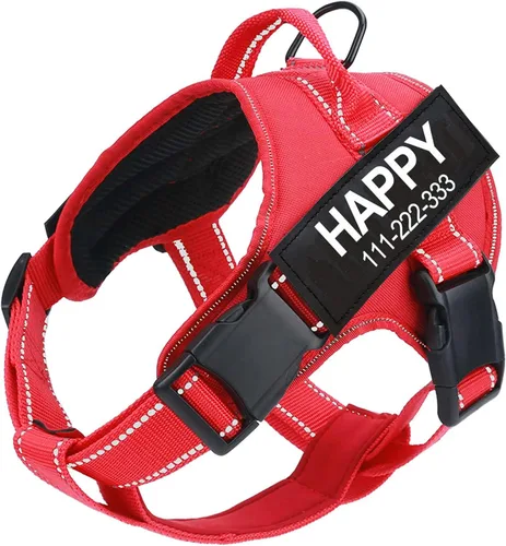 Miniatura 9 de Arnés para perro con nombre personalizado con parche personalizado, chaleco para mascotas sin tirones, fácil control para entrenamiento de caminatas