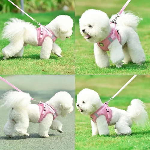 Miniatura 6 de Juego de arnés y correa para perros pequeños, arnés reflectante ajustable sin tirones, arnés transpirable suave para cachorros, perros pequeños